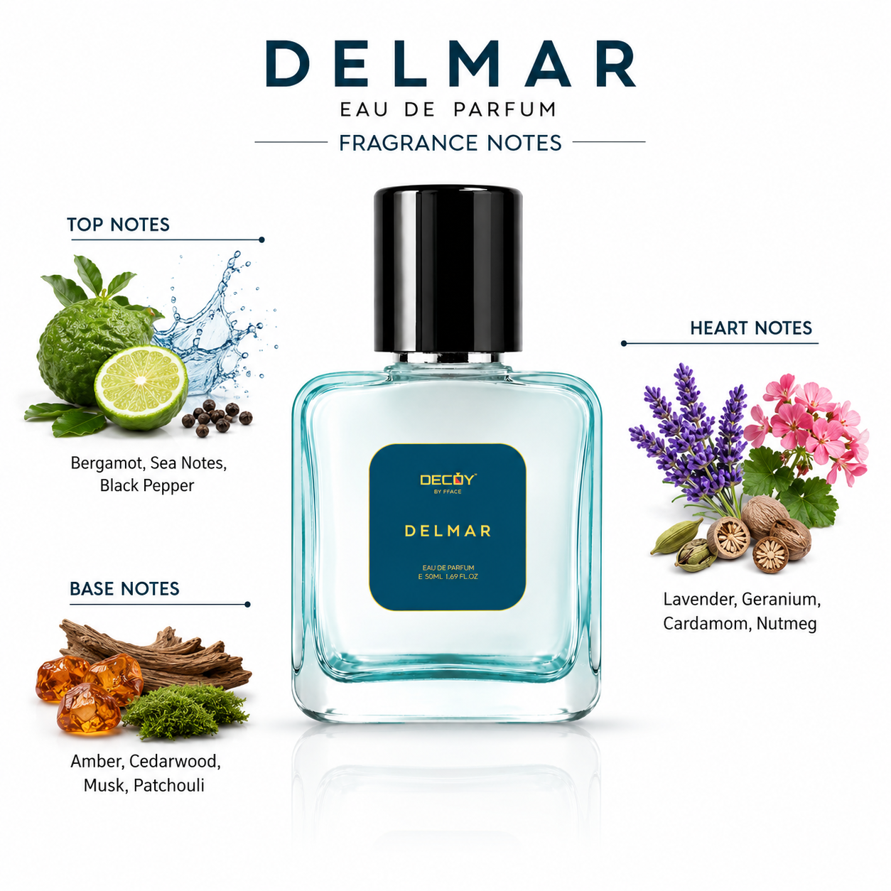 DECOY Delmar Eau de Parfum bottle with fragrance notes displayed on a white background