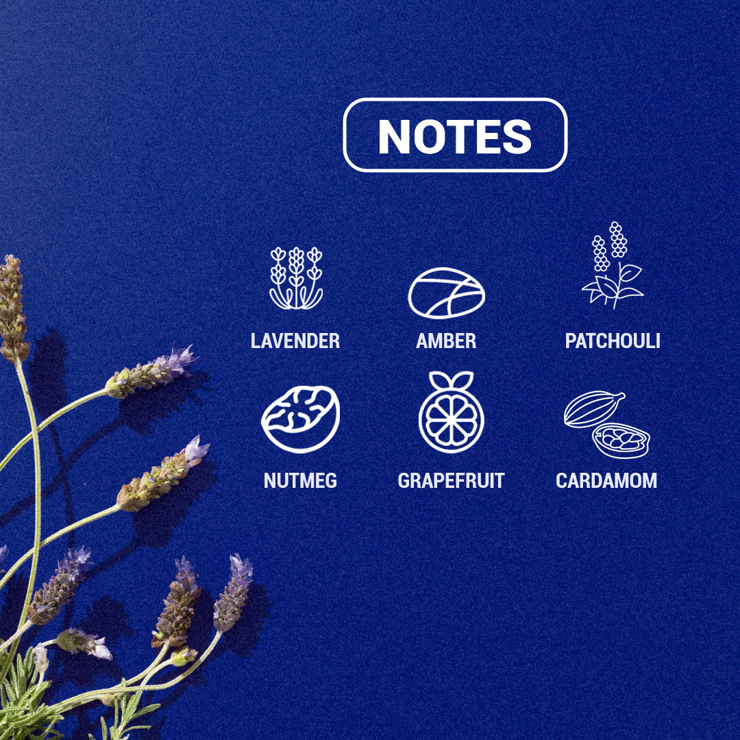 Decoy Blue Zephyr 50ml scent notes ingredients grapefruit lavender amber and sandalwood