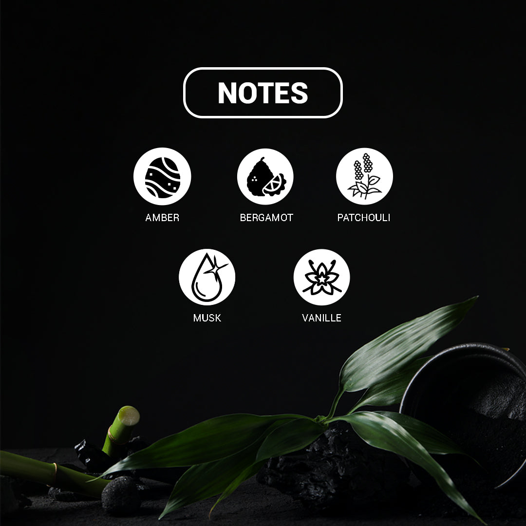 Decoy Intense Black 100ml scent notes ingredients pineapple birch and musk