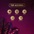 Decoy Lumea 25ml scent notes ingredients woody vanilla and metallic accords