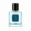 Delmar Pour Homme True EDP 50ml | 20% Oil Concentration